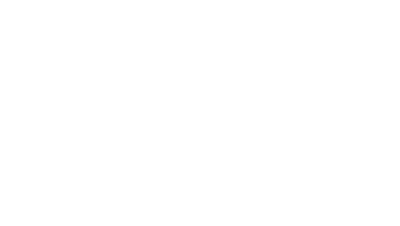 young-pon-logo